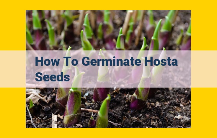 Hosta Seed Germination: A Beginner's Guide to Nurturing Thriving Plants