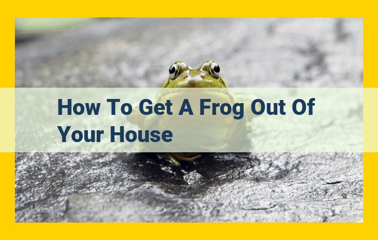 [Ultimate Guide] Removing Frogs from Your Home: Humane Capture, Exclusion, and Prevention