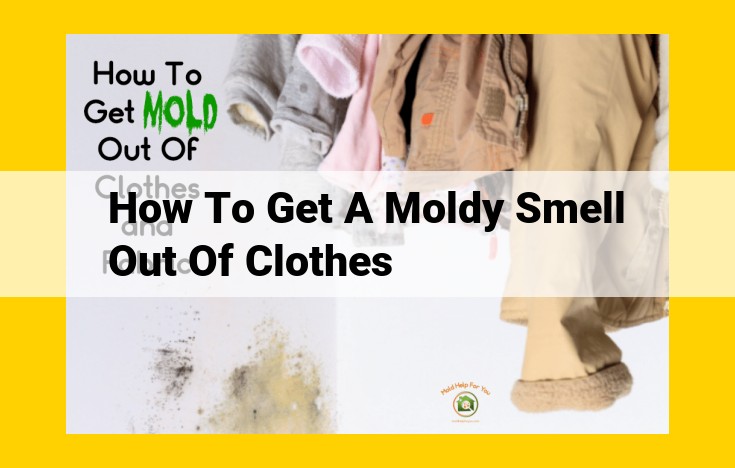 Remove Moldy Odors from Clothes: Humidity, Ventilation & Prevention