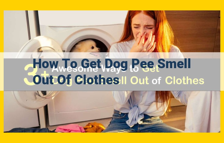 Ultimate Guide to Eradicating Dog Urine Odor from Clothes: DIY and Enzymatic Solutions