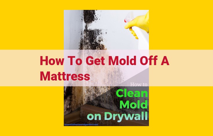 Ultimate Guide to Mattress Mold Removal: Easy Steps for a Mold-Free Night's Sleep