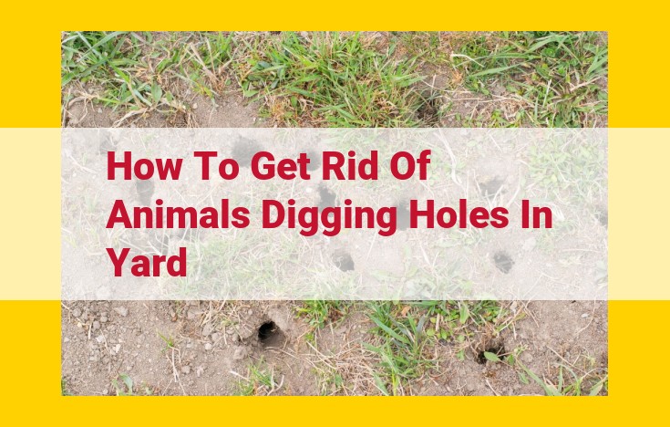 Effective Animal Deterrence: Protect Your Yard from Holes and Digging Damage