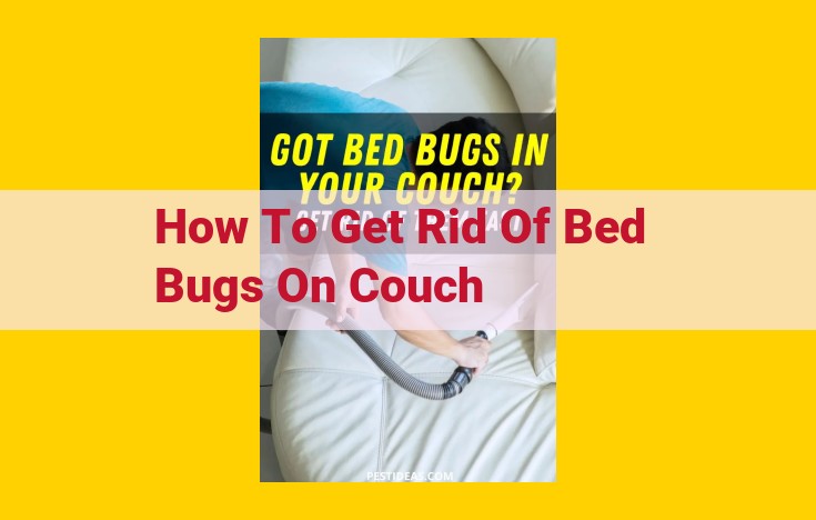 Eliminate Bed Bugs on a Couch: A Comprehensive Guide with Effective Techniques