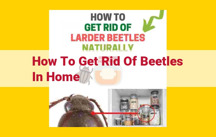 Eliminate Beetles in Your Home: A Comprehensive Guide to Prevention and Eradication