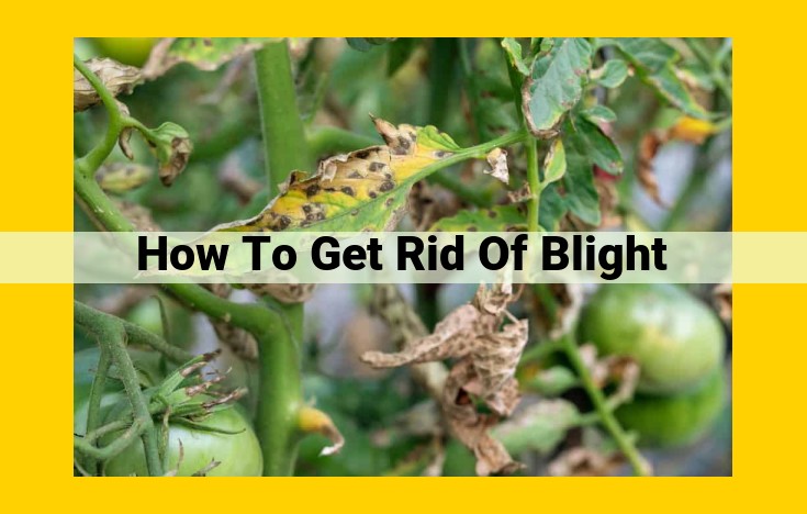 Top Resources for Preventing and Controlling Late Blight in Agriculture