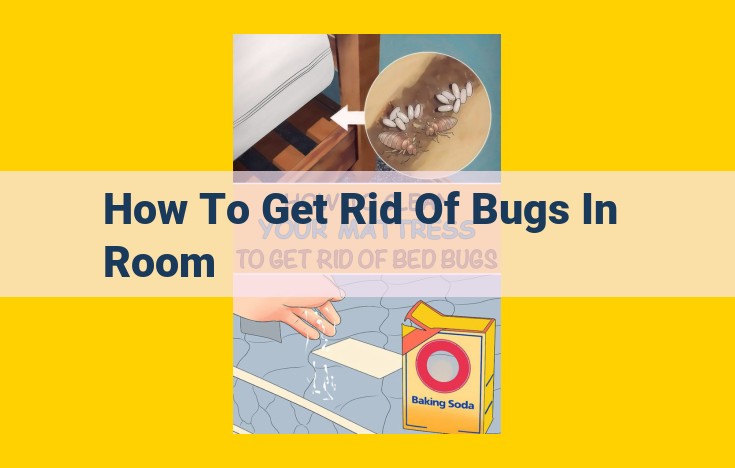 Effective Pest Control Strategies to Keep Your Home Bug-Free