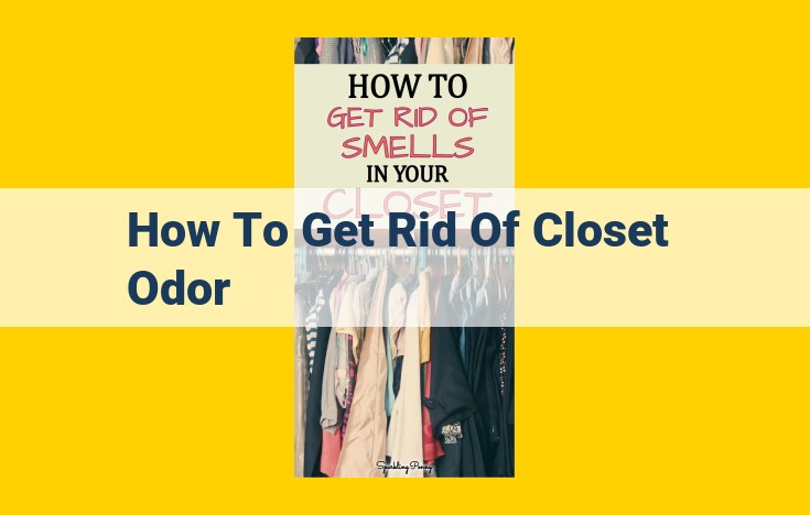 Ultimate Guide to Odor-Free Closets: Neutralizing Musty Smells, and More