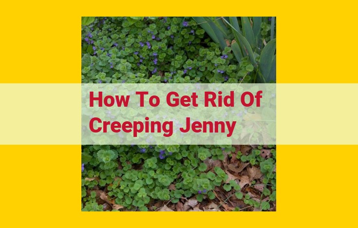 Eliminate Creeping Jenny: A Comprehensive Guide to Eradication and Prevention