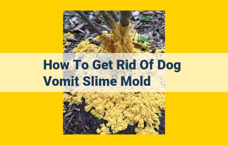 Unveiling the Interconnectedness of Ecosystems: Exploring the Significance of Dog Vomit Slime Mold