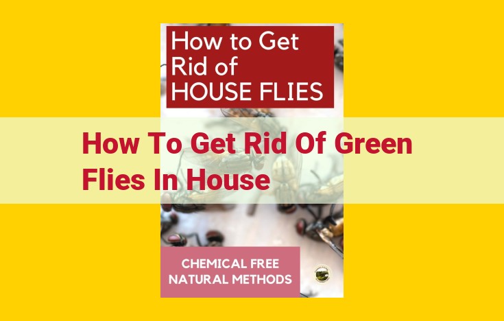 Effective House Fly Elimination: Prevent, Repel, and Control