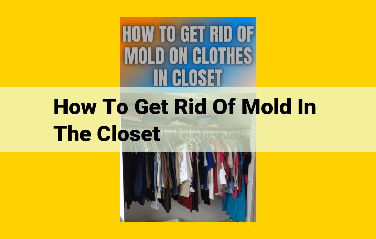 Step-by-Step Guide to Eradicating Mold in Closets: A Comprehensive Approach