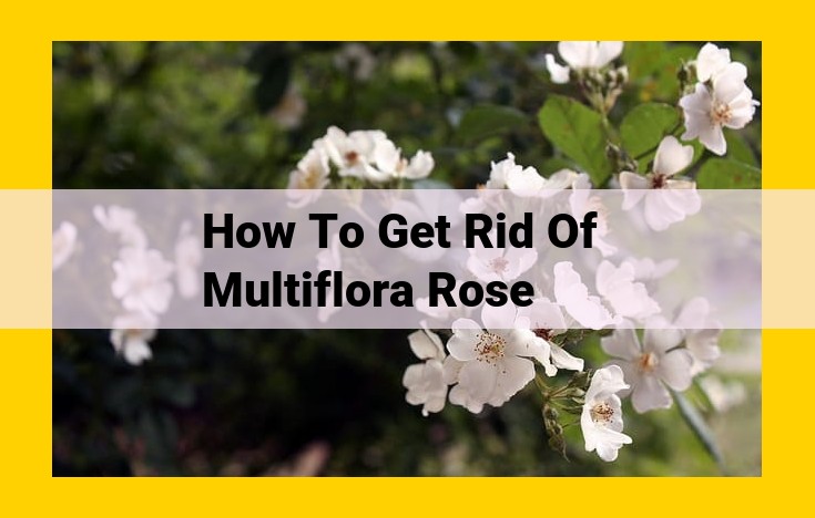 Effective Multiflora Rose Control: Strategies and Assistance from Experts