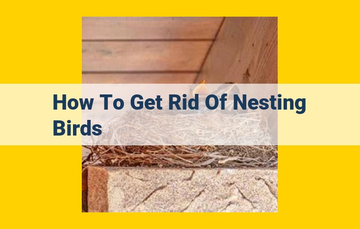 Effective Bird Nest Removal and Prevention: A Comprehensive Guide