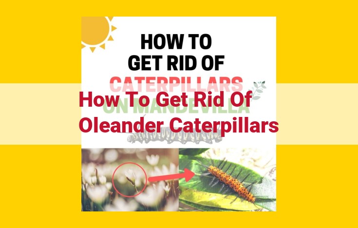 Eliminate Oleander Caterpillars: A Comprehensive Guide to Pest Control