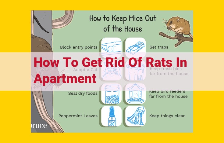 Effective Rat Elimination Strategies for Apartments: A Comprehensive Guide