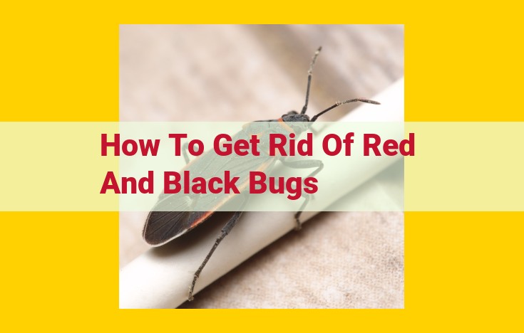 Eliminate Red and Black Bugs: A Comprehensive Guide to Identification, Control, and Prevention