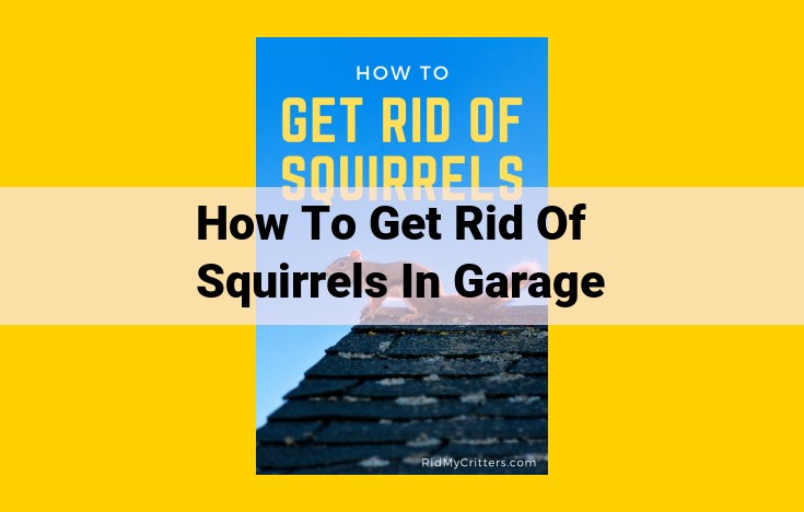 Effective Squirrel Removal: Wildlife Services, Products, and Regulations