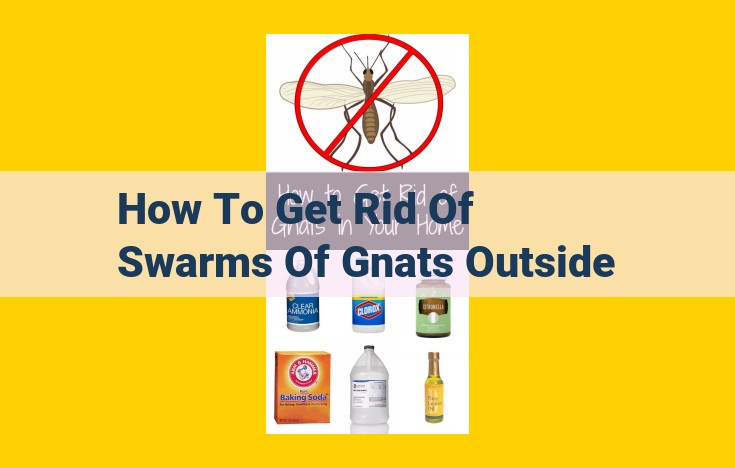 How to Eliminate Annoying Gnat Swarms Outdoors: Proven Solutions