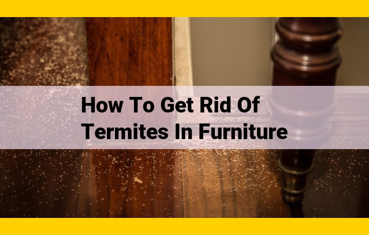 Professional Termite Extermination and Furniture Restoration for Damaged Pieces