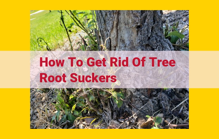 Eliminate Tree Root Suckers: Effective Methods and Prevention