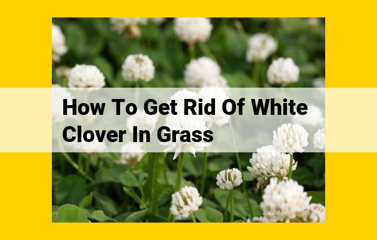 Effective White Clover Removal Strategies: A Comprehensive Lawn Care Guide