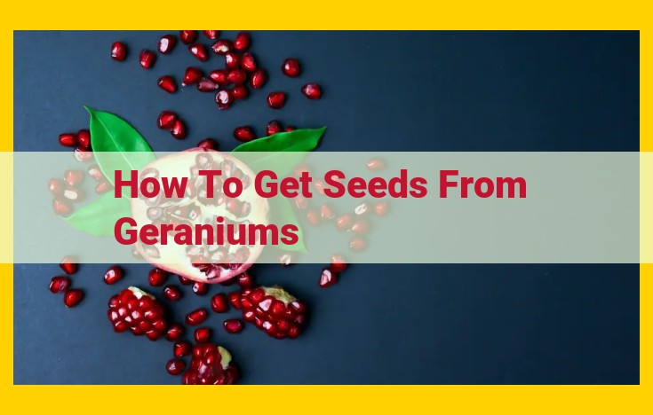 How to Collect and Store Geranium Seeds: A Comprehensive Guide