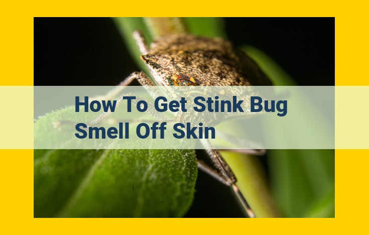 Best Ways to Eliminate Stink Bug Odor from Skin: Alcohol, Dish Soap, Baking Soda