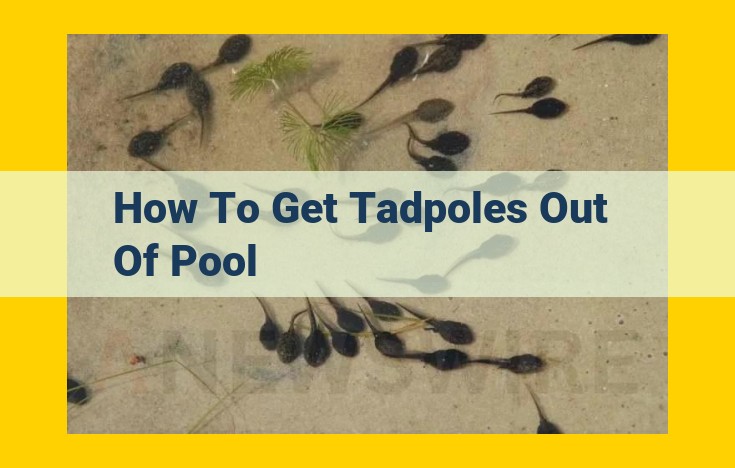 How to Eliminate Tadpoles in Your Pool: A Comprehensive Guide