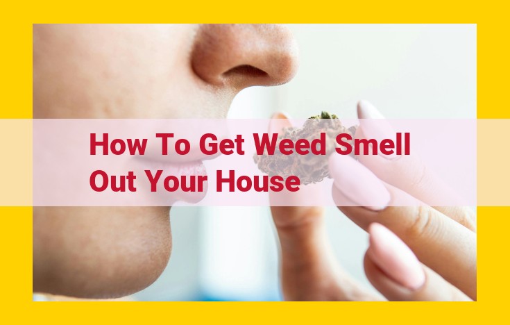 Eliminate Weed Odor: Comprehensive Guide to Banish Lingering Scents