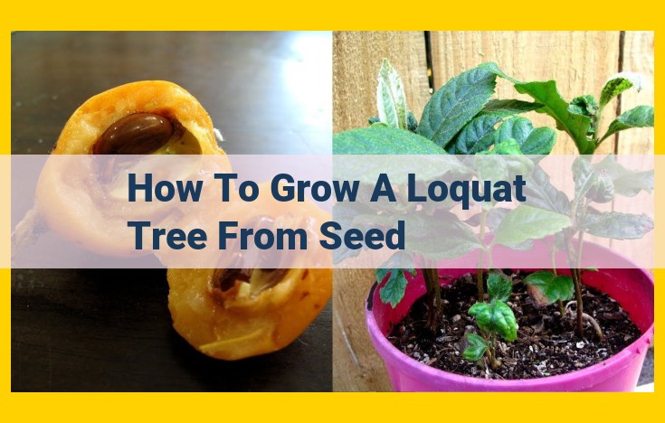 How to Grow a Thriving Loquat Tree from Seed: A Comprehensive Guide