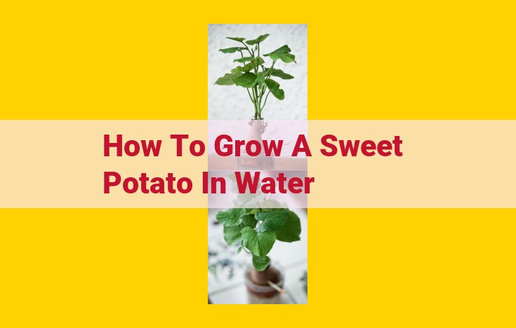 Grow Sweet Potatoes in Water: A Comprehensive Guide for Abundant Harvest