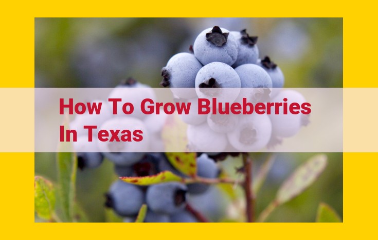 Growing Blueberries in Texas: Essential Tips for Success in the Lone Star State