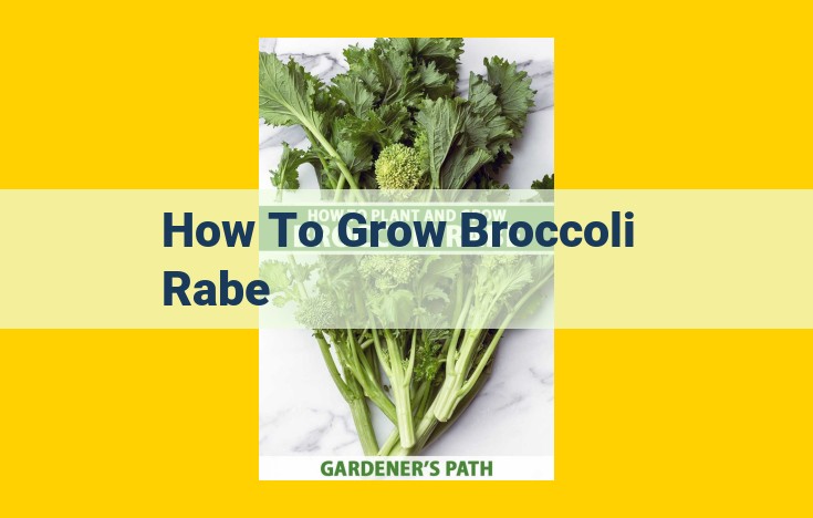 Grow Bountiful Broccoli Rabe: A Comprehensive Guide to Cultivation