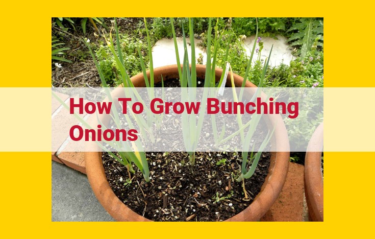 The Ultimate Guide to Growing Bunching Onions: Soil, Planting, Care, and Harvest