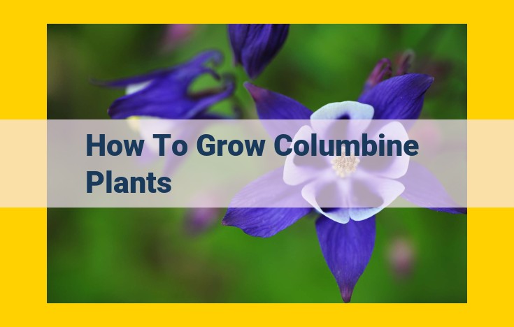 How to Plant and Care for [Plant Name]: A Comprehensive Guide for Success