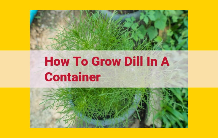 How to Grow Dill in a Container: A Comprehensive Guide for Abundant Herb Harvest