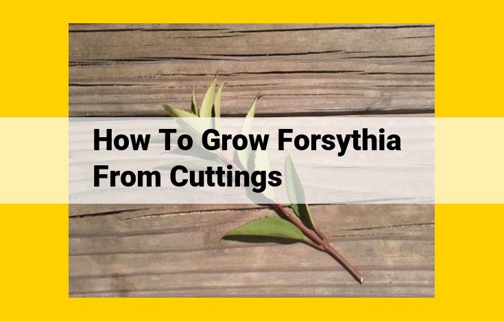 How to Propagate Forsythia from Cuttings: A Step-by-Step Guide for Lush Spring Blooms