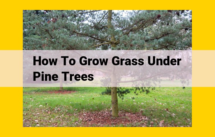 Cultivating Grass under Pine Trees: A Comprehensive Guide to Shade-Tolerant Lawns