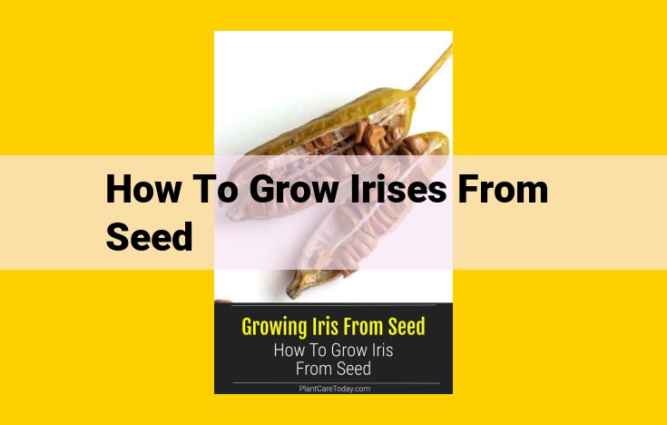 Iris Seed Propagation: A Comprehensive Guide for Beautiful Blooms