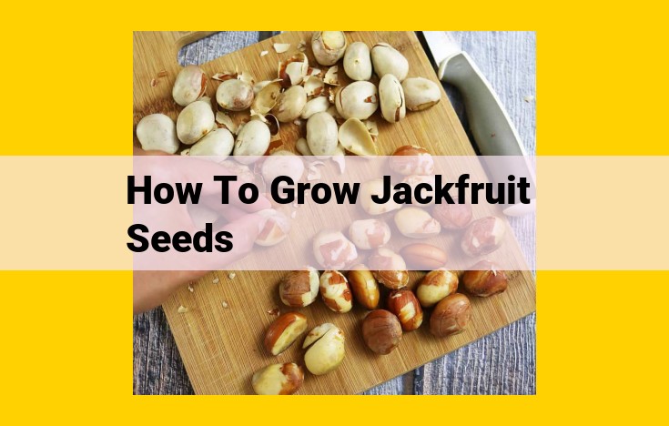 Optimize this title for SEO: How to Grow Jackfruit Seeds: Essential Steps for Success Jackfruit Seed Germination: A Step-by-Step Guide Start Your Own Tropical Adventure: Growing Jackfruit Seeds Unlock the Secrets of Jackfruit Seed Propagation Effortless Jackfruit Seed Growing: A Beginner's Guide