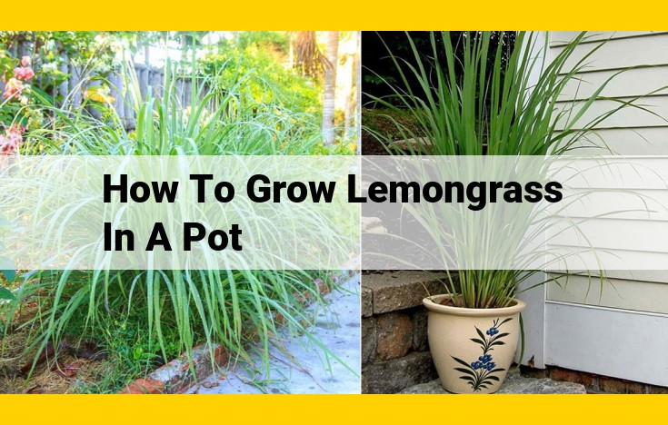 Cultivating Lemongrass in Containers | Comprehensive Guide for Pots, Patios, and Hydroponics