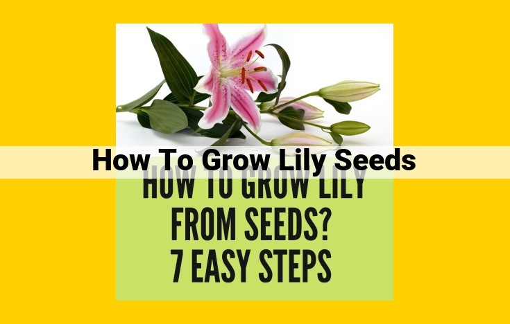 Growing Lily Seeds: A Comprehensive Guide for Beginners