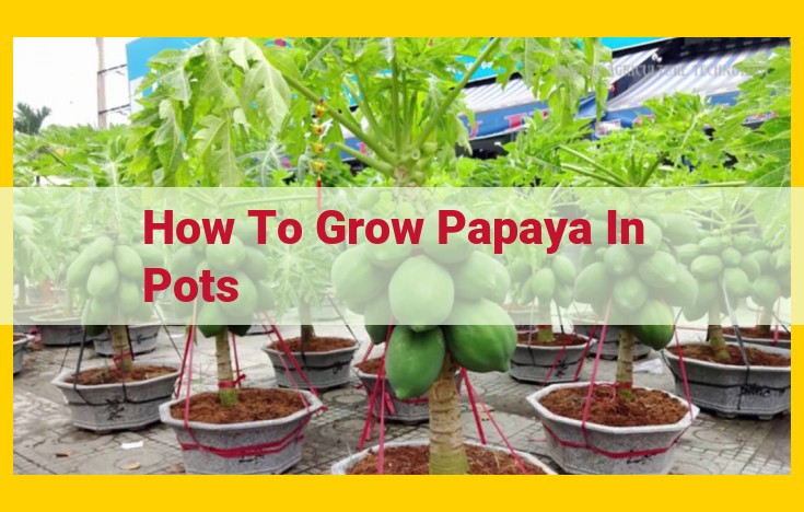 The Ultimate Guide to Growing Papayas in Pots: Essential Tips for Success