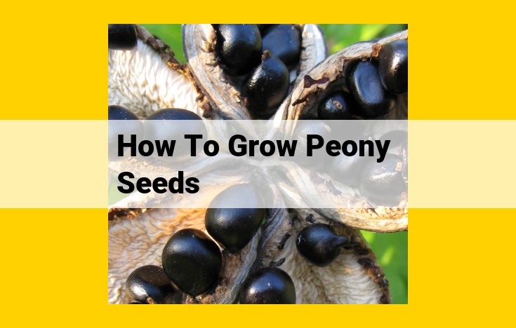 Ultimate Guide to Growing Peony Seeds: A Comprehensive Guide for Gardeners