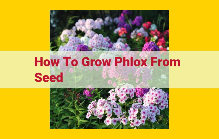 Comprehensive Guide to Growing Vibrant Phlox from Seed for Cost Savings and Unique Blooms