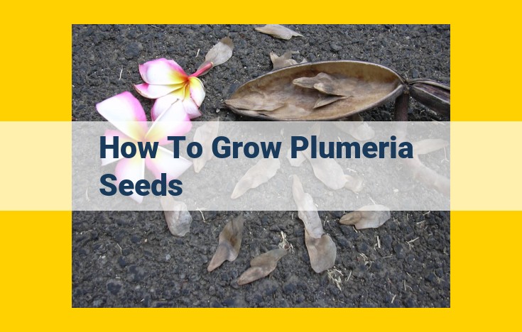 [Step-by-Step Guide] How to Germinate and Grow Plumeria Seeds for Vibrant Blooms