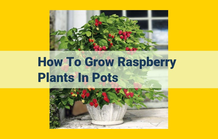 Cultivating Raspberries in Pots: A Comprehensive Guide to Planting, Care, and Harvesting