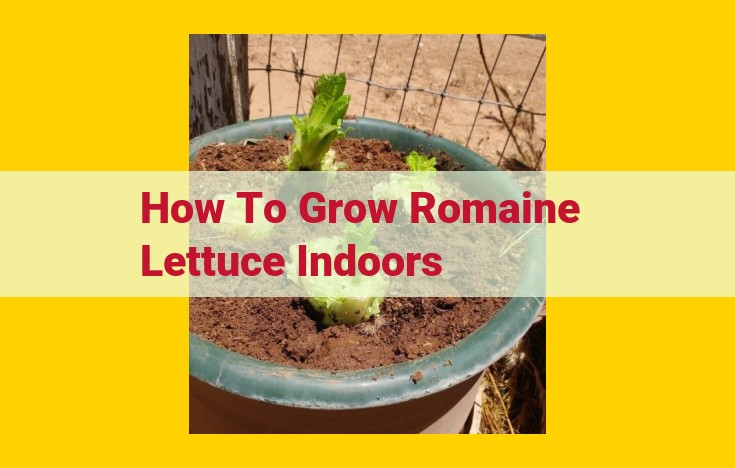 A Comprehensive Guide to Growing Romaine Lettuce Indoors: From Seeds to Harvest