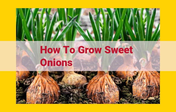 Cultivating Sweet Onions: A Comprehensive Guide to Growing Exceptional Bulbs