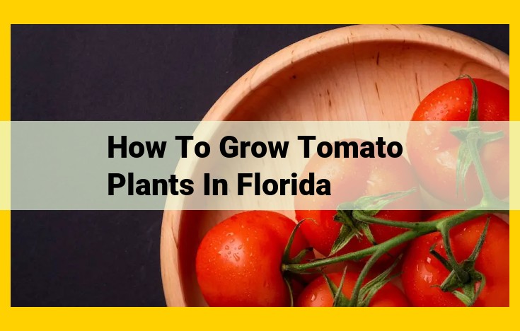 How to Thrive: A Comprehensive Guide to Cultivating Tomatoes in Florida's Unique Climate